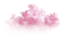 Pink Fluffy Cloud 3