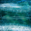 Northern Night Background #7
