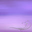 Lavender Glass Silver Background