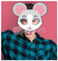 Mouse Mask 2