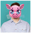 Piglet Head