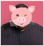 Piglet Mask 1