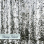Shiny Silver Large Sequins Backdrop