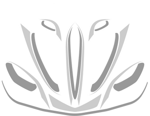 Bicycle Helmet