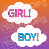 Girl / Boy Baby Shower Prop