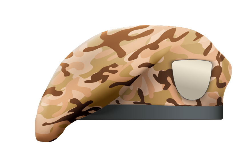 Camouflage Beret 3