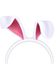 Bunny Ears 2