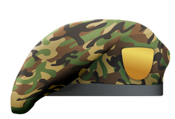 Camouflage Beret 1