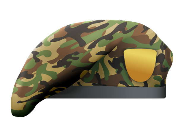 Camouflage Beret 1