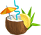 Coconut Cocktail