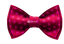 Fuchsia Polka Dot Bowtie