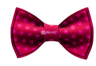 Fuchsia Polka Dot Bowtie