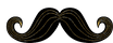 Black and Gold Mustache