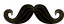 Black and Gold Mustache