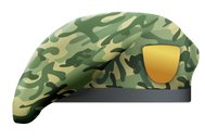 Camouflage Beret 4