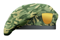 Camouflage Beret 4