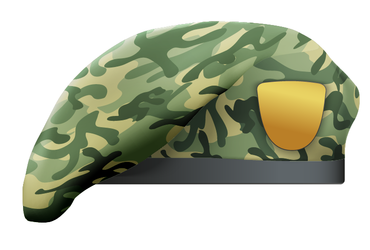 Camouflage Beret 4