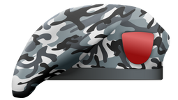 Camouflage Beret 5