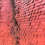 Wine Red Matte Large Sequins Backdrop