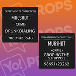 Busted! Mugshot Sign Prop - Drunk Dialing / Groping the Stripper