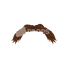 Mustache 2