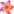 Single Pink Plumeria 2