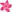 Single Pink Plumeria
