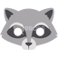 Raccoon Mask 1