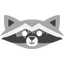 Raccoon Mask 2