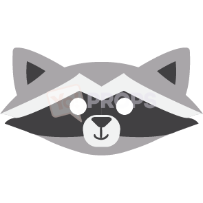 Raccoon Mask 2