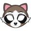 Raccoon Mask 3