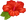 Red Hawaiian Flower