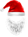 Santa Hat and Beard 7