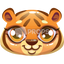 Tiger Head