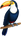 Toucan