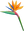 Hawaiian Flower