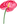 Hawaiian Flower 2