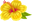 Yellow Hawaiian Flower