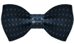 Blue Dotted Bowtie