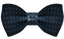 Blue Dotted Bowtie