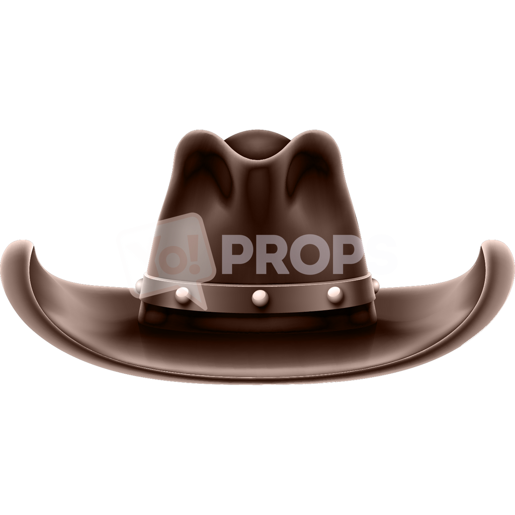 Brown Cowboy Hat