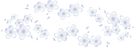 Flower Crown