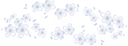 Flower Crown