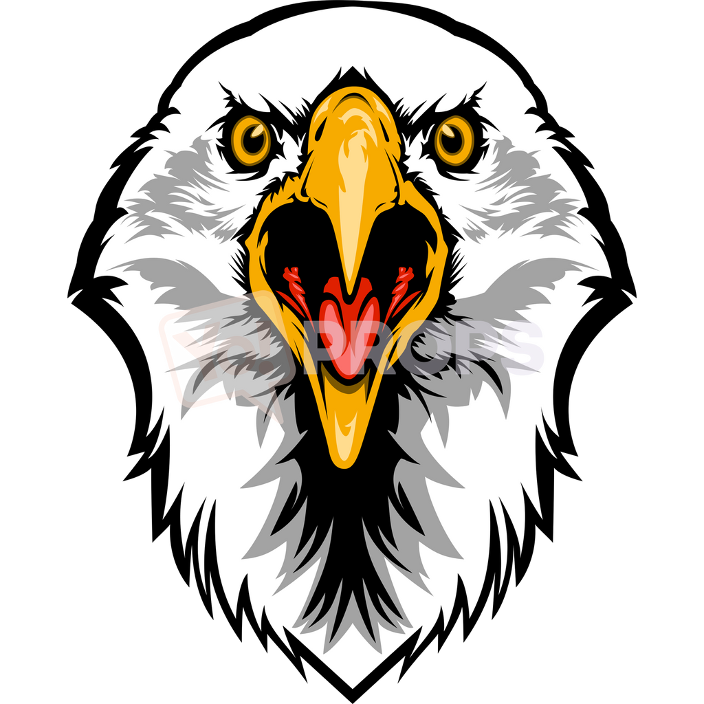 Eagle Head 2