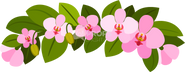 Haku Lei 1