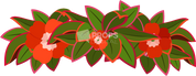 Haku Lei 4