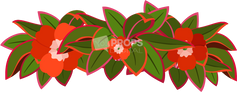 Haku Lei 4