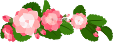 Haku Lei 8