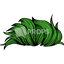 Green Hair