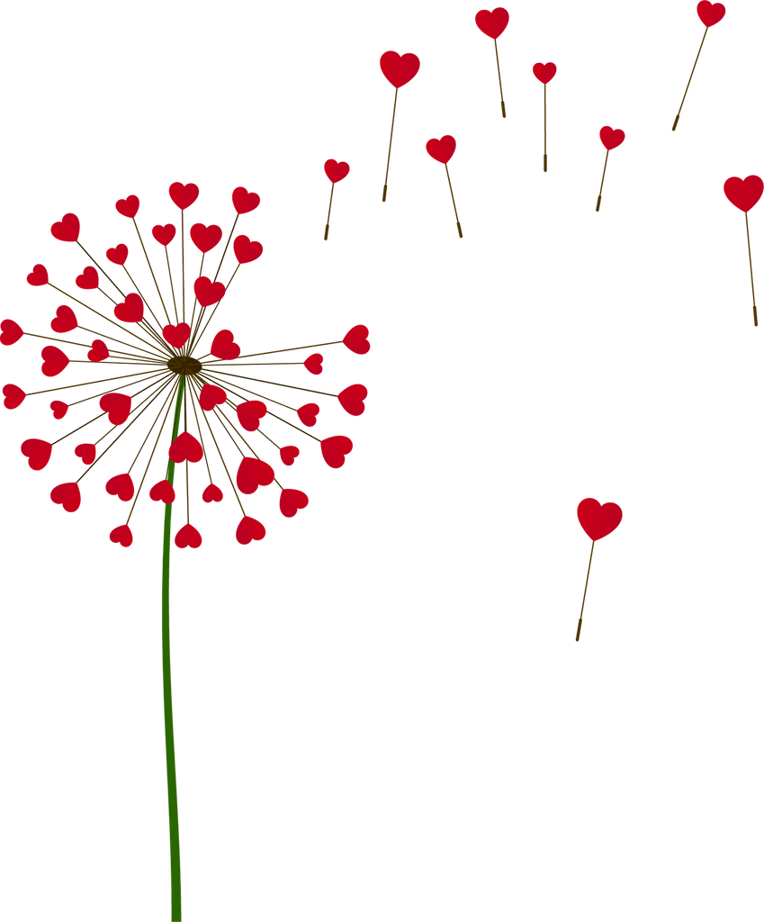 Heart Dandelion